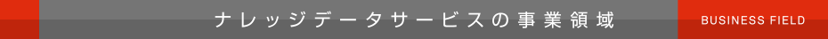 ナレッジデータサービスの事業領域
